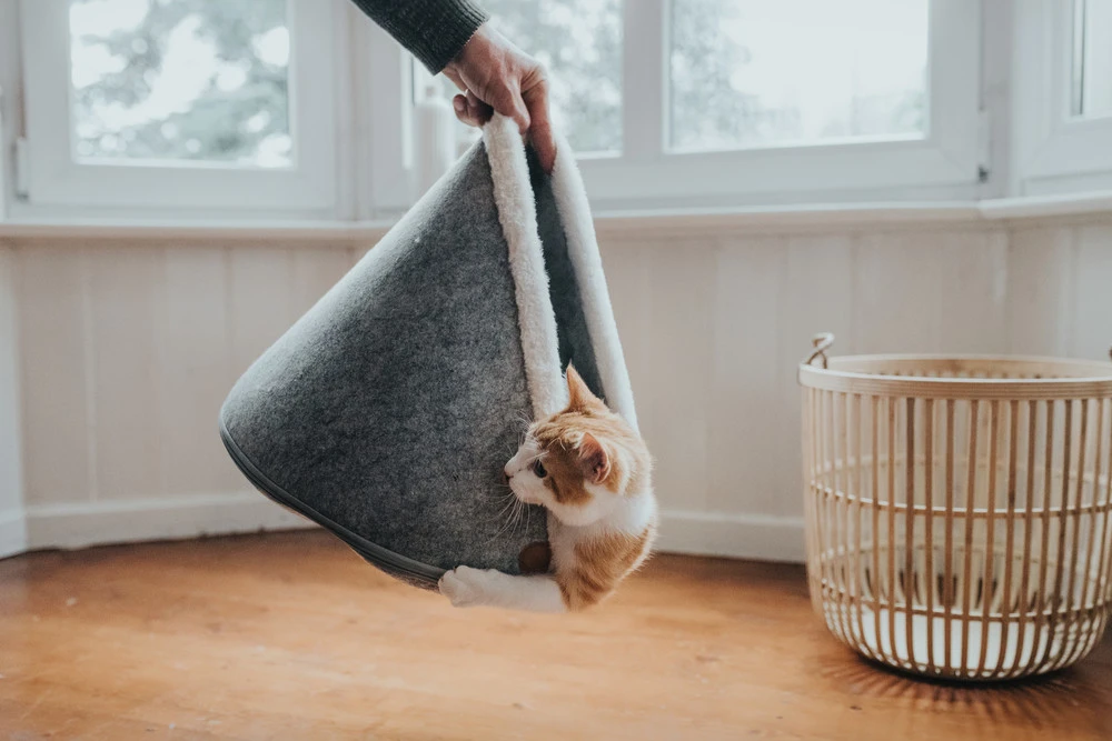 Hunter Skive Kattehule Grå